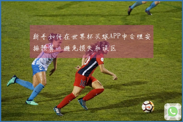新手如何在世界杯买球APP中合理安排预算，避免损失和误区