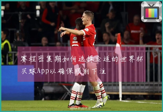 赛程密集期如何选择合适的世界杯买球App以确保顺利下注