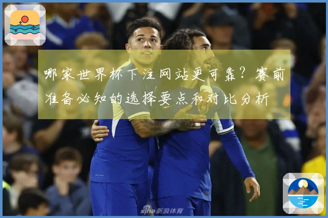 哪家世界杯下注网站更可靠？赛前准备必知的选择要点和对比分析