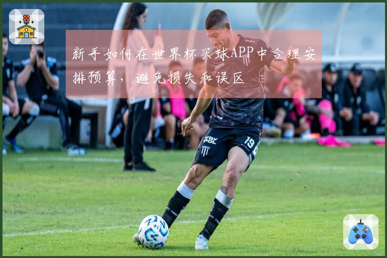 新手如何在世界杯买球APP中合理安排预算，避免损失和误区